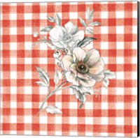 Framed Sketchbook Garden VII Red Checker