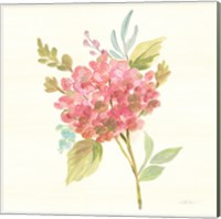 Framed 'Petals and Blossoms VII' border=