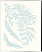 Framed 'Serene Ferns II' border=