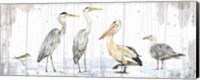 Framed Birds of the Coast Rustic Panel