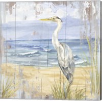 Framed 'Birds of the Coast Rustic II' border=