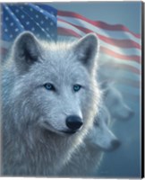 Framed Arctic Wolves America