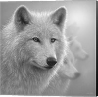 Framed Arctic Wolves - Whiteout - B&W