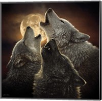Framed Wolf Trinity