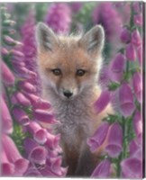 Framed Red Fox - Foxgloves