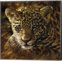 Framed Jaguar Cub on Bark