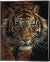 Framed Eye of the Tiger