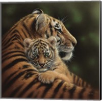 Framed Tiger Mother and Cub - Cherished