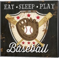 Framed 'Eat, Sleep, Play, Baseball' border=
