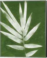 Framed 'Green Spa Bamboo II' border=