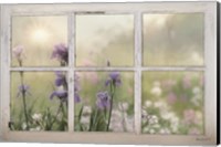 Framed Framed Flowers