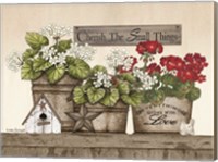 Framed Cherish the Small Things Geraniums