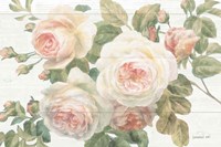 Framed Vintage Roses White on Shiplap Crop