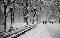 Framed Central Park Snow