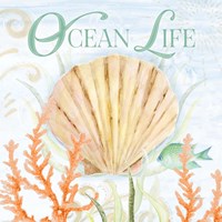 Framed Ocean Life
