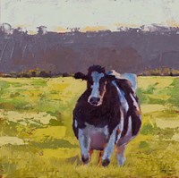 Framed Fat Cow in the Field