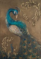 Framed Pershing Peacock I