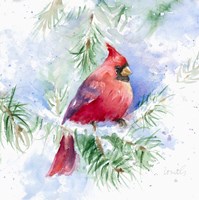 Framed Cardinal in Snowy Tree