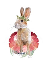 Framed Ballet Bunny I