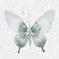 Framed 'Grey Watercolor Butterflies II' border=