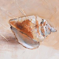 Framed Copper Sea Shell