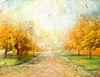 Framed Oak Path