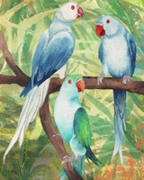 Framed Tropical Birds I