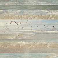 Framed Flying Beach Birds I