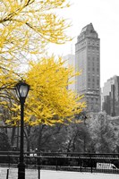 Framed Central Park with Yellow Tree
