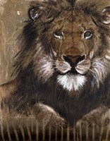 Framed Brown Lion