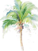 Framed Watercolor Coconut Palm