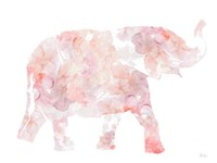 Framed Flowers In Elephant