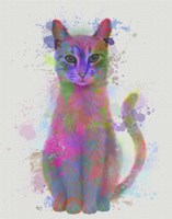 Framed Cat Rainbow Splash 4