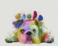 Framed English Bulldog and Birds, Rainbow Splash
