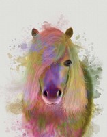 Framed Pony 1 Portrait Rainbow Splash