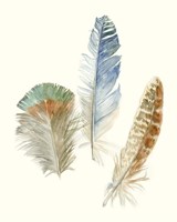 Framed 'Watercolor Feathers III' border=