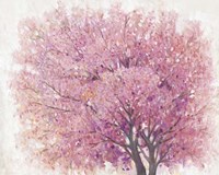 Framed Pink Cherry Blossom Tree II