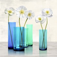 Framed Poppies in crystal vases (Aqua I)