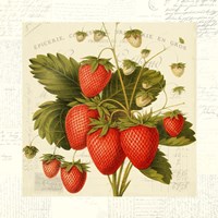 Framed Fraises