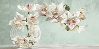 Framed Orchid Arrangement II (Celadon)