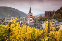 Framed Germany, Rhineland-Pfalz, Bacharach, Elevated Town View In Autumn