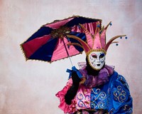 Framed Elaborate Costume For Carnival, Venice, Italy