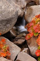 Framed Small Waterfall In The Sierra Nevada Mountains