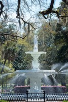 Framed Fountain In Forsyth Park, Savannah, Georgia