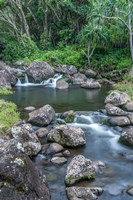 Framed Limahuli Garden And Preserve, Kauai, Hawaii