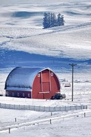 Framed Snow-Covered Barn, Idaho
