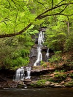 Framed Tom Branch Falls, North Carolina