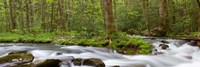 Framed Panoramic Of Straight Fork Creek In Spring, North Carolina