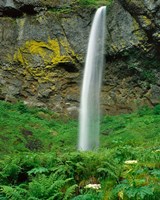 Framed Elowah Falls, Oregon