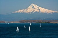 Framed Sailboats On The Columbia River, Oregon